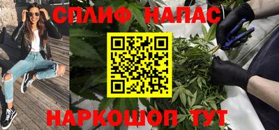 дмт Будённовск