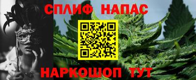 дмт Будённовск